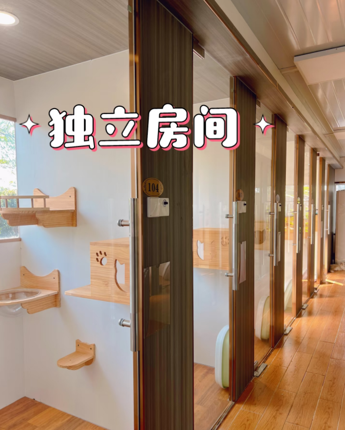 肇庆宠物